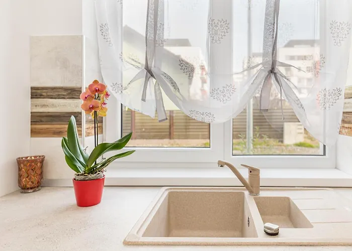 Roberta * 布拉索夫